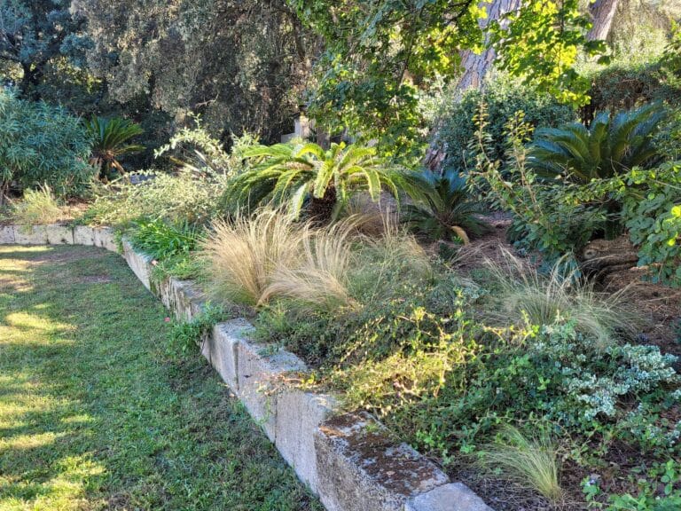 Plantation, taille et soin des végétaux