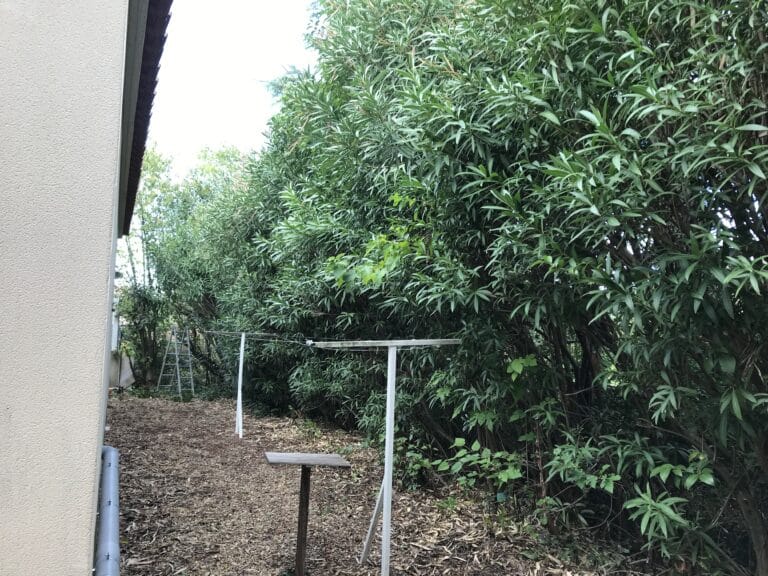 Plantation, taille et soin des végétaux