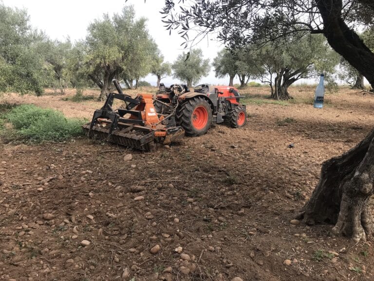 Terrassement et aménagement des extérieurs