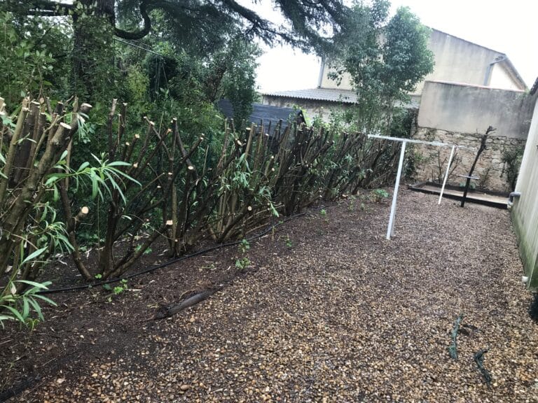 Plantation, taille et soin des végétaux